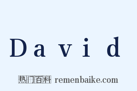 David是什么意思的图片